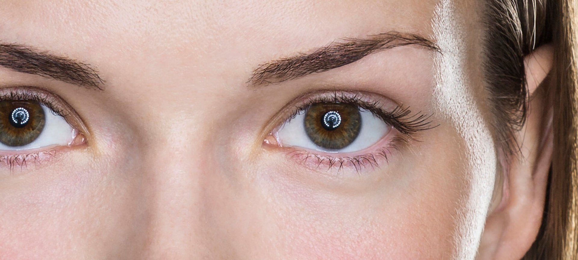 propole-os-factos-e-a-ficcao-artigo