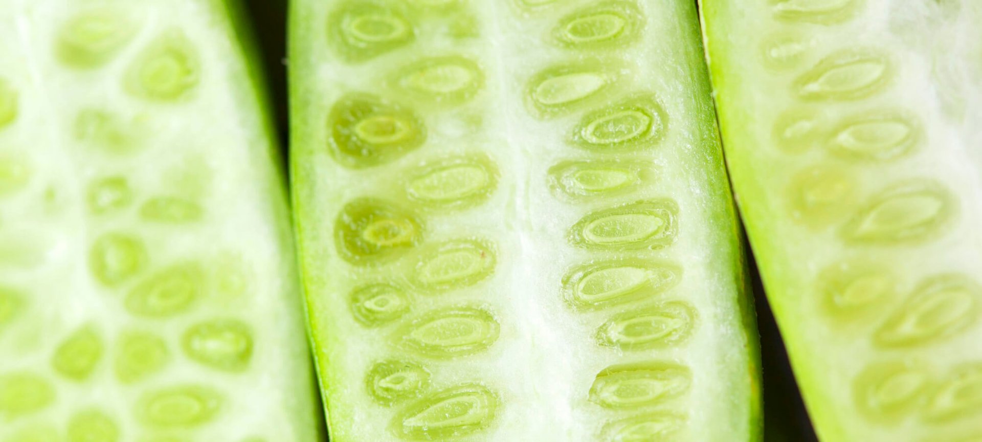 a-minha-pele-esta-exausta-esta-na-hora-de-despertar-hero