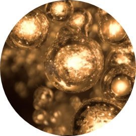 Molécula complexo de recuperação antioxidante