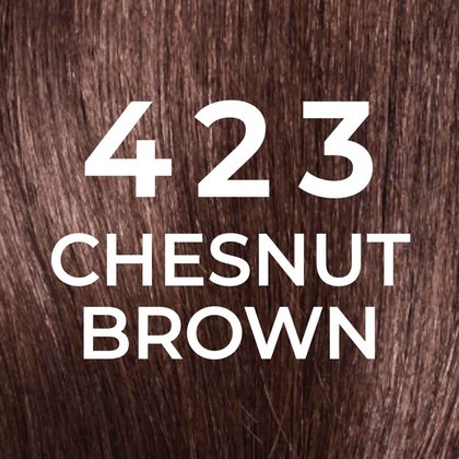 20221606 Digital Castingnaturalgloss Colorgloss Swatches 423 Shade Guide Dmi Image Na No Cta