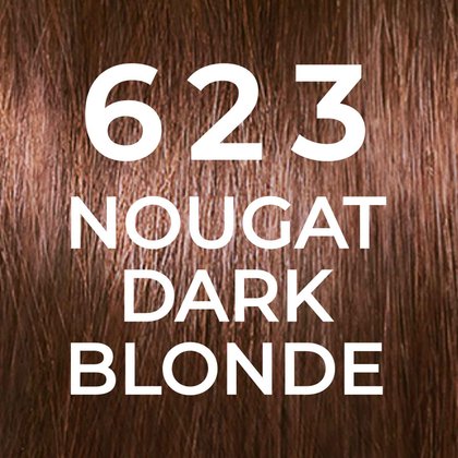 20221606 Digital Castingnaturalgloss Colorgloss Swatches 623 Shade Guide Dmi Image Na No Cta