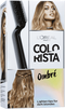 Haircolor Ombre Effect Colorista Packshot